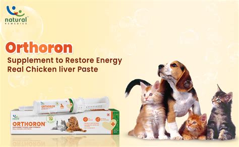 Buy Natural Remedies Orthoron Joint Supplement for Dogs and Cats ...