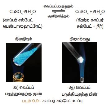 நீரேறிய உப்புகள் மற்றும் படிகமாக்கல் நீர் | Hydrated salts and Water of ...