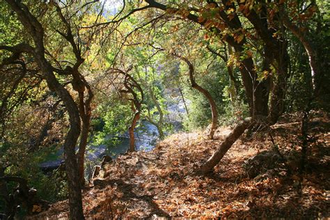 Horse Creek Campground in Kaweah Lake, California: Reviews and Photos ...