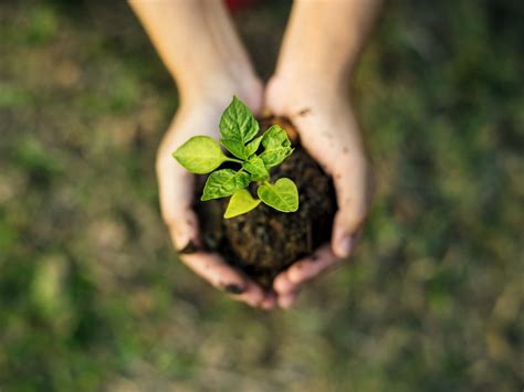 Industry Development 的图像结果