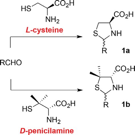 SciELO - Brasil - ONE-POT DIASTEREOSELECTIVE SYNTHESIS OF CHIRAL TRICYCLIC L-CYSTEINE AND D ...