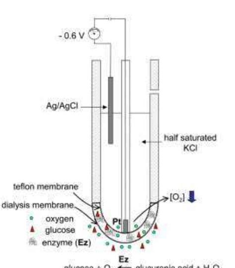 Image result for Clrk Electrode ABG PaO2