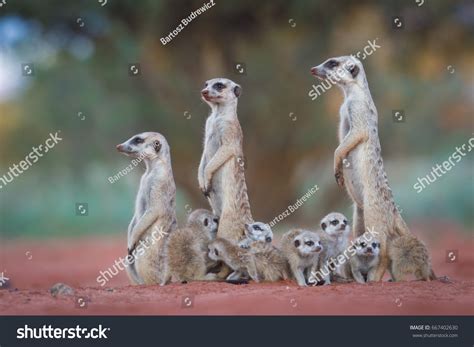 Image result for Practice Work for Students Using CSS