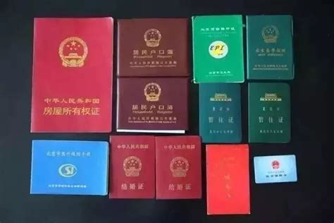 深圳上线75类电子证照 支持全市亮码办事_深圳新闻网