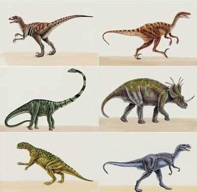 恐龙图片大全_恐龙趣闻_自贡恐龙，有趣的恐龙，恐龙展，恐龙公园，恐龙大百科