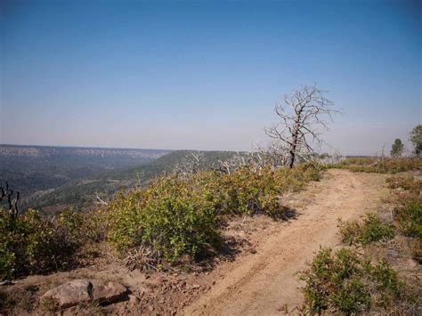 Spring Creek Spur A ATV Trail , Colorado - GPS Trail Map, Conditions ...
