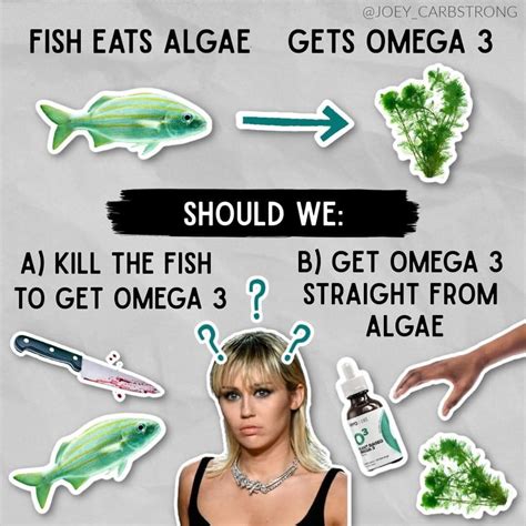 Seeds, particularly hemp, chia and ground flaxseed, as well as walnuts ...