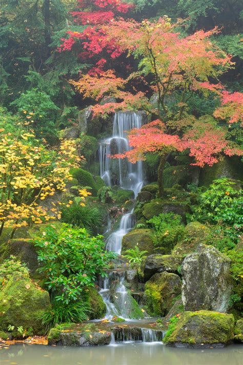Portland Japanese Garden Autumn Waterfall | Portland Japanese Garden ...