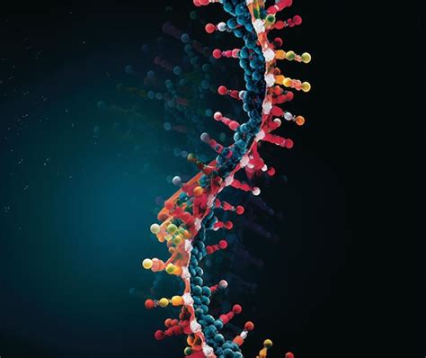 Image result for DNA Replication Advanced