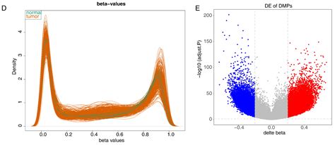 Identification of KIFC3 as a Colorectal Cancer Biomarker and Its ...