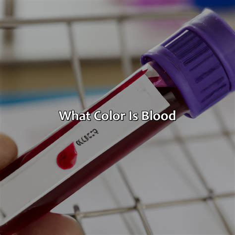 What Is The Opposite Of Yellow On The Color Wheel - colorscombo.com