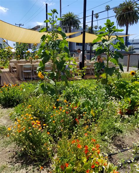 Roque and Mark » A Busy Weekend for Roque & Mark Co.!