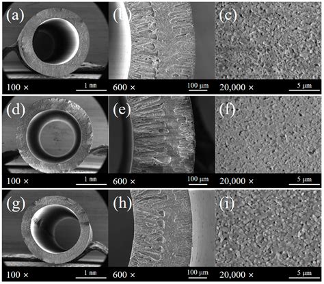 Fabrication and Evaluation of Ceramic-Based Hollow Fiber Membrane ...