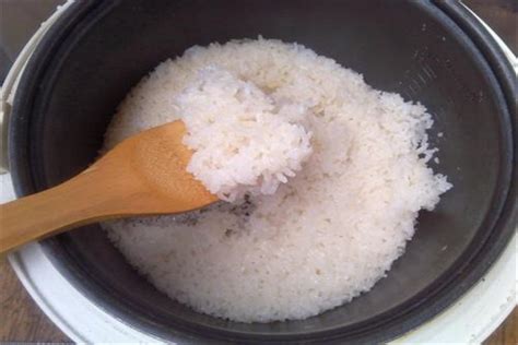 如何蒸米饭不糊底 电饭锅蒸米饭糊底的原因有哪些_探秘志