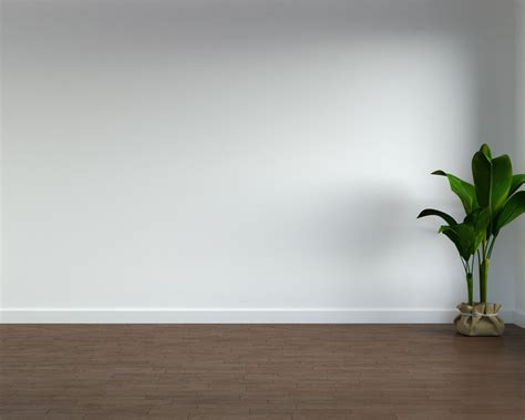 7 Flooring Options for a Sleek Harmony with White Walls - roomdsign.com