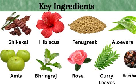 Buy QYKKARE HAIR CARE SET - HAIR OIL & SHAMPOO (200 GM X2) = 400 GM ...