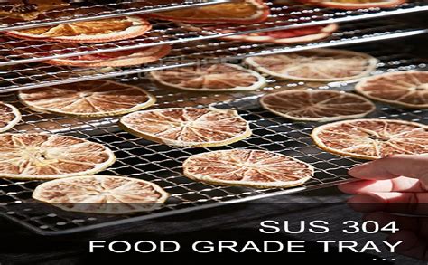 Maharaj Mall Food Dehydrator 700W Dehydrator Machine with 6 Stainless ...