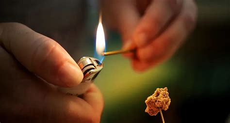 Moxibustion Therapy: Harnessing Therapeutic Heat for Healing | Courses ...