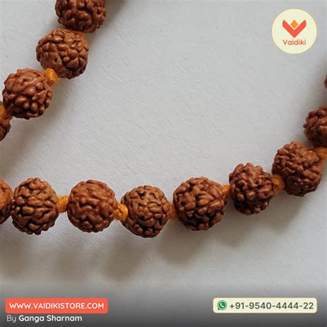 5 Mukhi Rudraksha Mala (108 Beads) | Authentic Spiritual Tool For Medi ...