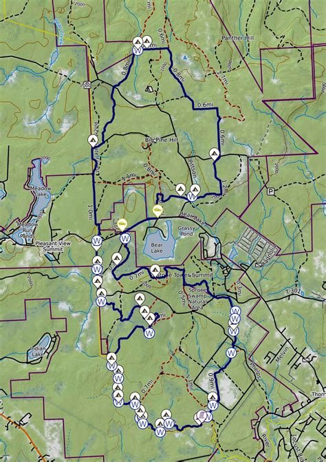 Pinchot Trail System Backpacking Guide — Into the Backcountry