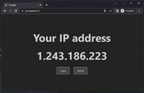 Image result for JavaScript IP Logger