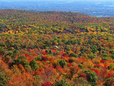 Fall Activities To Do In Nyc at Norma Friedland blog