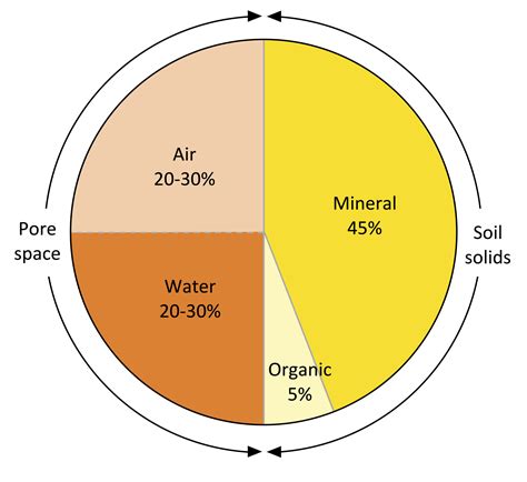 Chapter 2: Soils and Nutrient Management – Virginia Cooperative ...