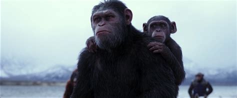 [猩球崛起3：终极之战 War for the Planet of the Apes] 線上看 （國語正版 完整版 高清1080P）- KKTM