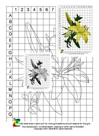 Image result for Grid Pattern Drawing