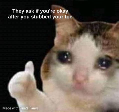 sad thumbs up cat Memes - Piñata Farms - The best meme generator and ...