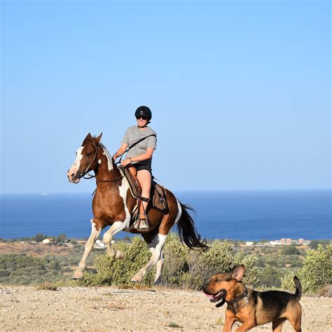 A&E ELPIDA RANCH (2026) All You Need to Know BEFORE You Go (with Photos ...