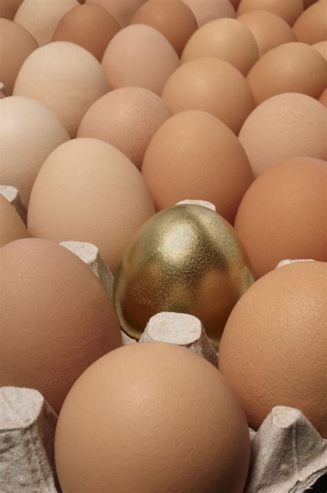 鸡蛋和金鸡蛋图片-一排鸡蛋里有一个金鸡蛋素材-高清图片-摄影照片-寻图免费打包下载