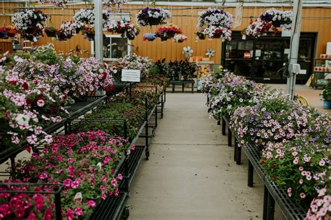 Image result for Lowe's Flower Garden