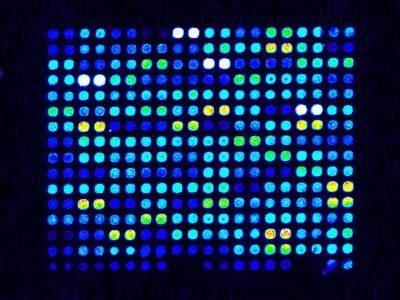 Image result for Microarray Types