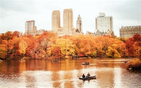 fall background nyc