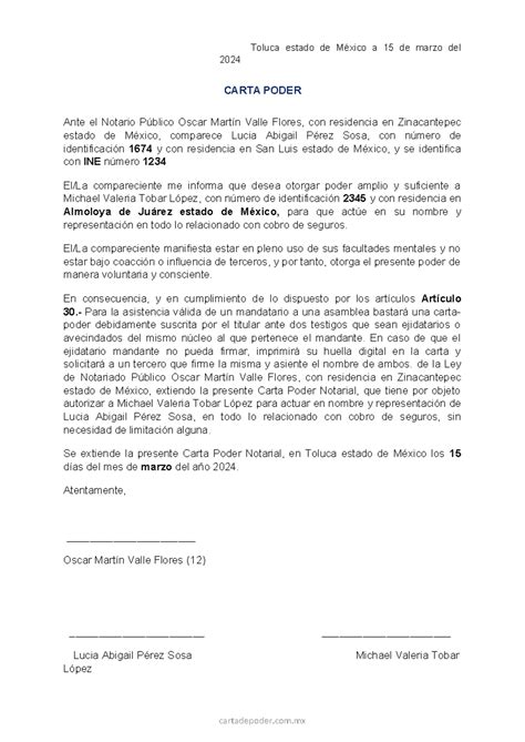 Carta-poder-notarial - Toluca estado de México a 15 de marzo del 2024 ...