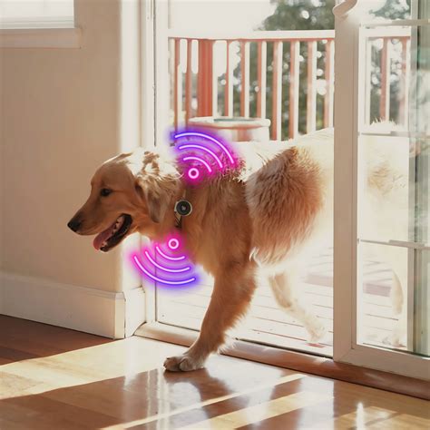 Best Automatic Pet Door for Sliding Glass Doors | SmartSlydr Pet Door