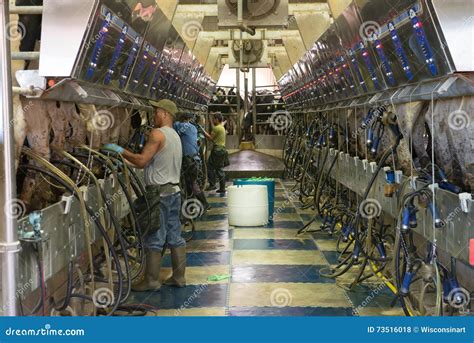 Modern Dairy Farm, Milking Parlor Editorial Stock Photo - Image of ...