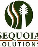 sequoia employees part salary cryptocurrencies