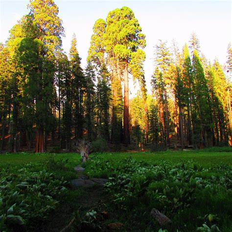 CRESCENT MEADOW LOOP (2025) All You Need to Know BEFORE You Go (with ...