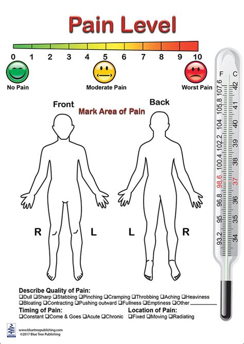 Pain Level Anatomical Chart - Etsy