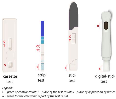 From Cereal Grains to Immunochemistry—What Role Have Antibodies Played ...