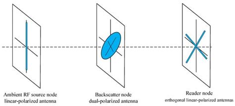 Dual-Polarization Ambient Backscatter Communications and Signal Detection