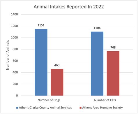 Comparing Overcrowding in Athens-Clarke County’s Animal Shelters ...