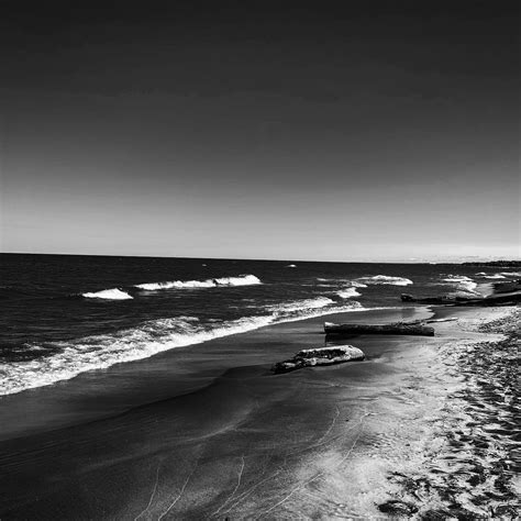 Live-From-The-Wilderness-Bob Davis Podcast 949 - The Bob Davis Podcasts