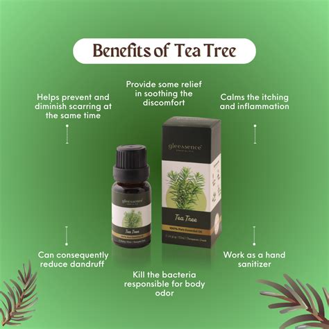 Buy Australian Tea Tree Essential Oil, 100% Natural - gleessence ...