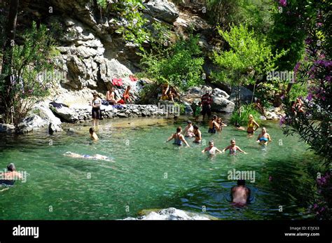 Nature Swim 的图像结果