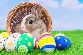 Image result for Google Images of the Real Easter Bunny