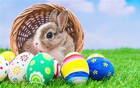 Image result for Show Me the Real Easter Bunny