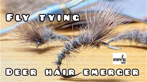 Image result for Emerger Fly Pattern